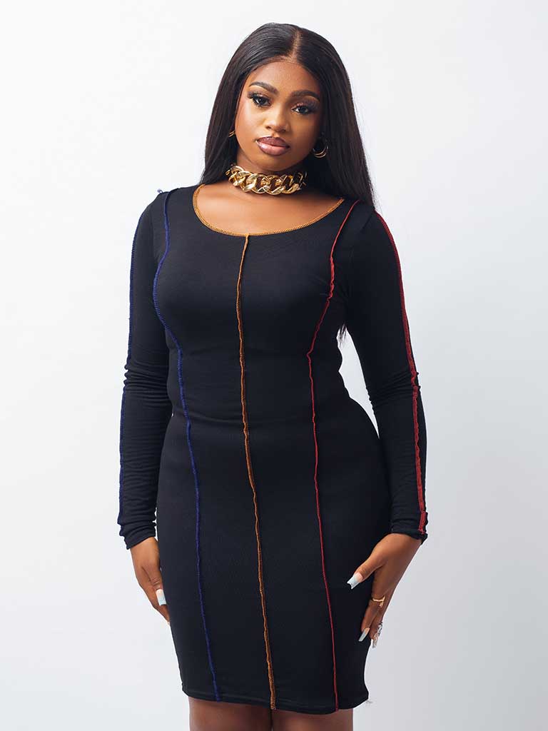 Black Long sleeve Multi Detail Bodycon Dress